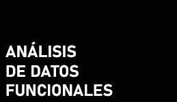 Grupo de Trabajo de Datos Funcionales de la SEIO